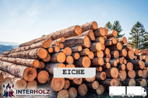 Stammholz Eiche – LKW-Ladung flexibel (20 RM oder 40 RM)