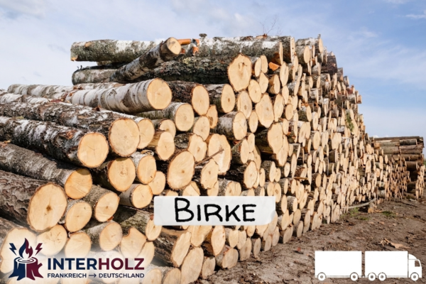Stammholz Birke – LKW-Ladung flexibel (20 RM oder 40 RM)