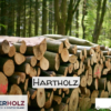 INTER HOLZ - Image officielle 9 - Bois de chauffage et services forestiers