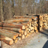 Eichenholz Stammholz 30–33 cm – Ganze oder Halbe LKW-Ladung
