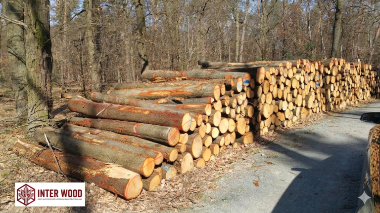 Eichenholz Stammholz 30–33 cm – Ganze oder Halbe LKW-Ladung