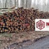 Buchen-Stammholz 30–33 cm – 40 RM – Ganze oder Halbe LKW-Ladung