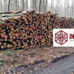 Buchen-Stammholz 30–33 cm – 40 RM – Ganze oder Halbe LKW-Ladung
