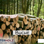 Gemini_Generated_Image_mr78twmr78twmr78 (1) Stammholz Buche – LKW-Ladung (wahlweise ganz oder halb) – Ø 30–33 cm, Länge 4–6 m