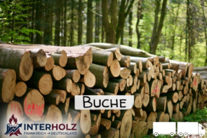 Stammholz Buche – LKW-Ladung (wahlweise ganz oder halb)