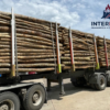 Aktionssortiment Buche / Esche – LKW-Ladung (ca. 45 RM)