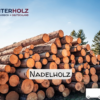Stammholz Nadelholz – LKW-Ladung flexibel