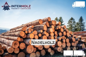 Stammholz Nadelholz – LKW-Ladung flexibel