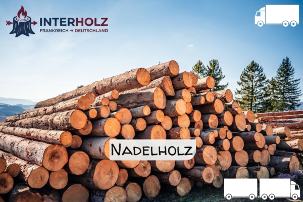 Stammholz Nadelholz – LKW-Ladung Rundholz, Durchmesser 30–33 cm, Länge 4–6 m