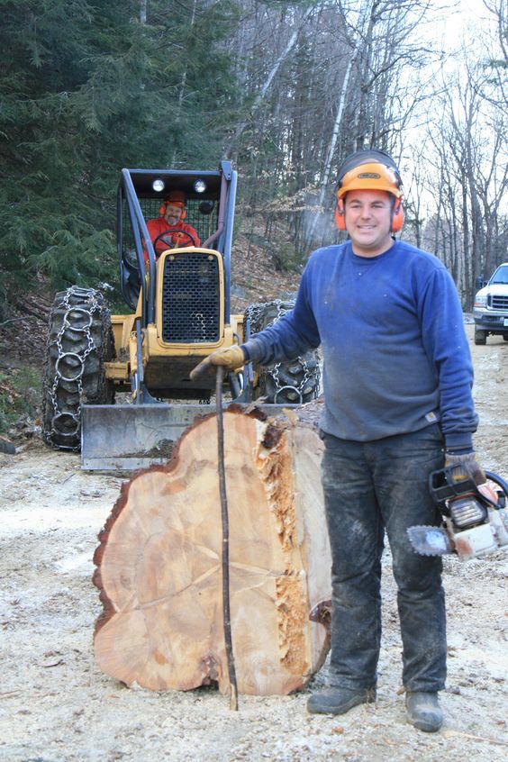 INTER HOLZ Logistik