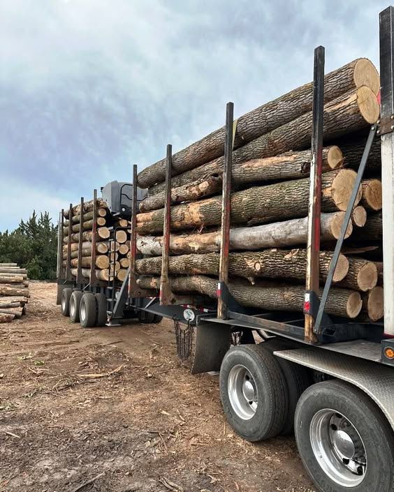 INTER HOLZ Forstarbeit