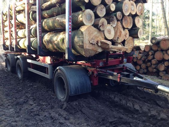 Stamm-Transport
