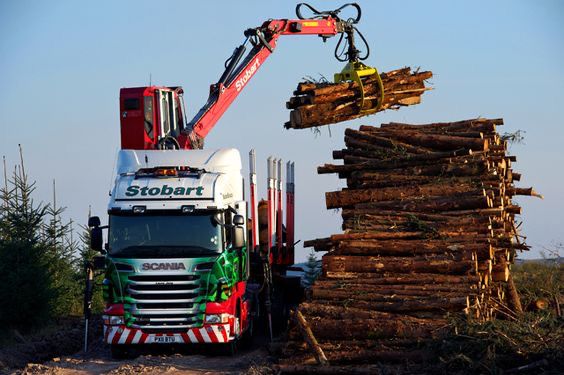 INTER HOLZ Team — Holzladung Vorbereitung
