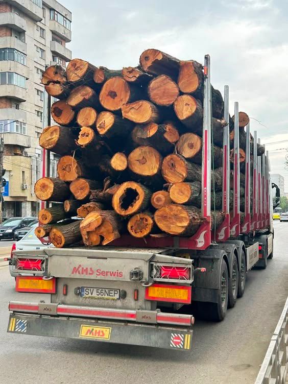 INTER HOLZ Stapel